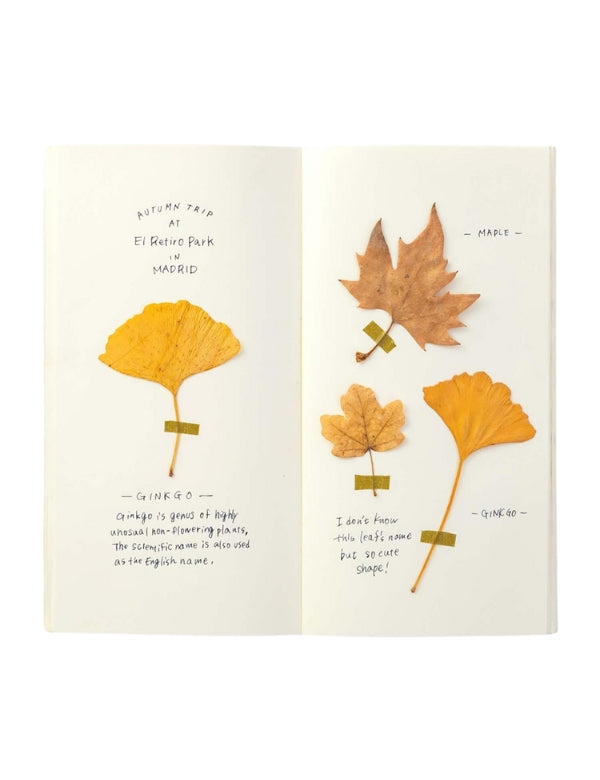 Traveler's Notebook Regular Refill 025, Cream Paper