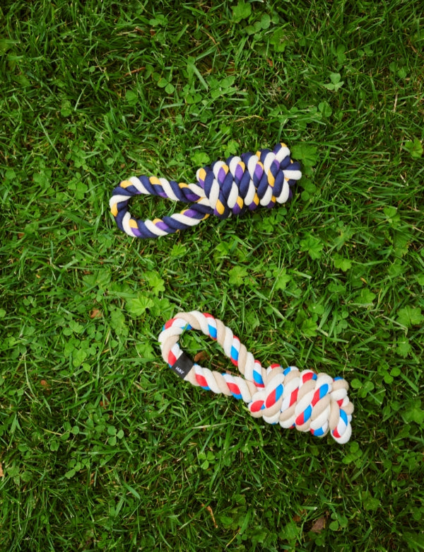 Dog Toy