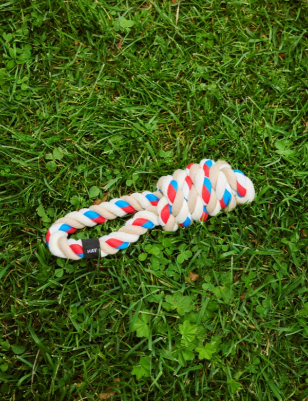Dog Toy