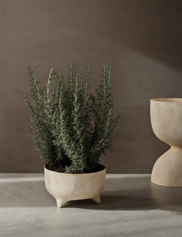 Evoke Pot - Small