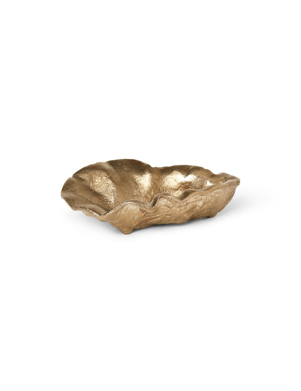 Suporte Oyster