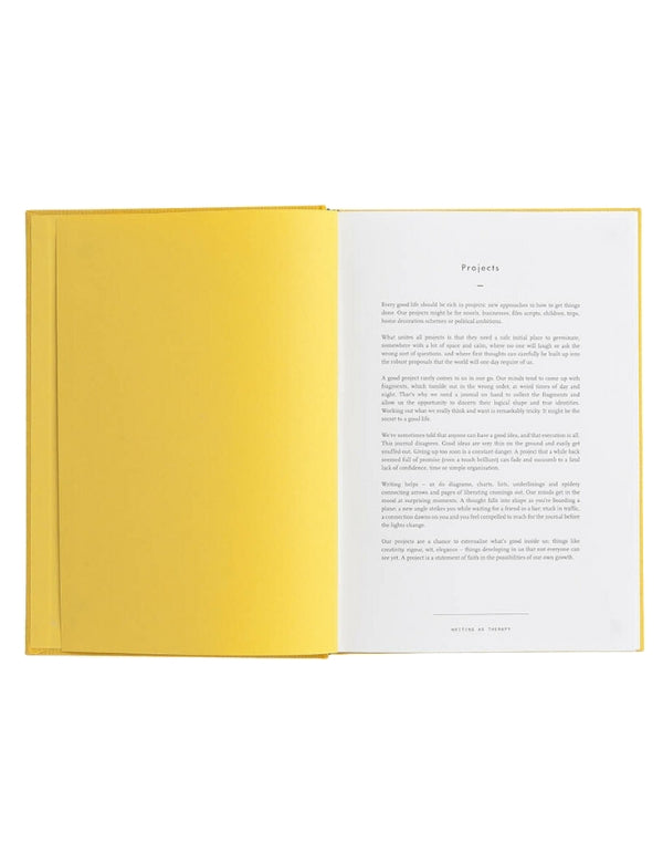Writing as therapy: Projects