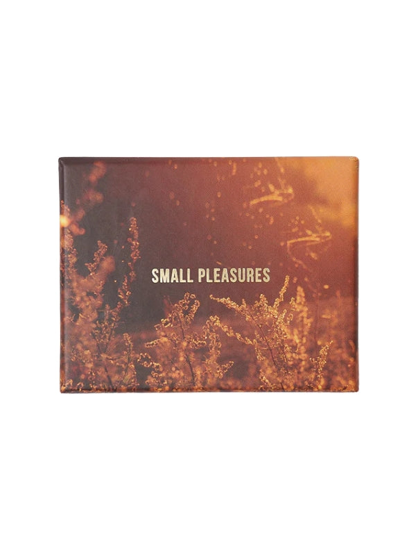 Small Pleasures