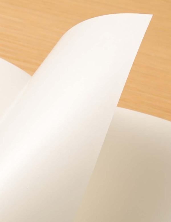 Papel Adesivo Traveler's Notebook Regular 031