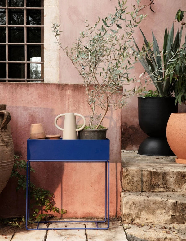 Plant Box, Azul Vivo
