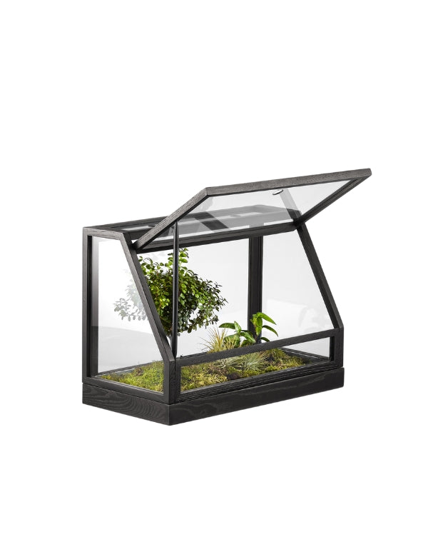 Mini greenhouse