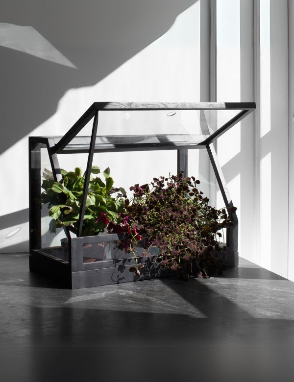 Mini greenhouse