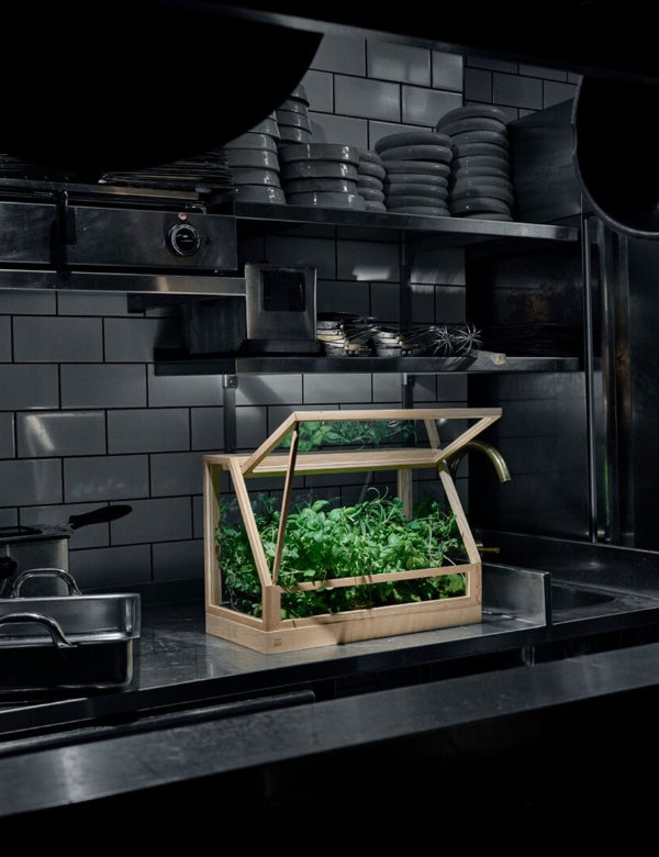 Mini greenhouse