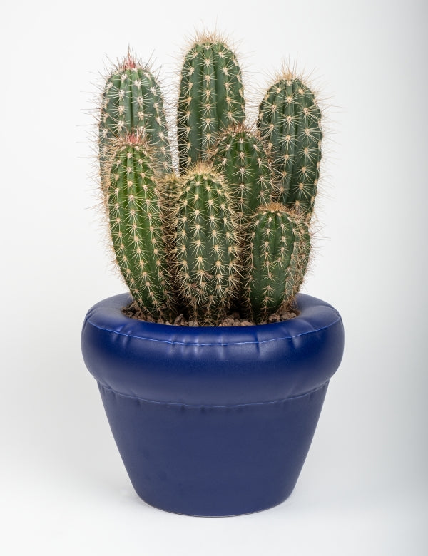 Pierre Vase - Matte