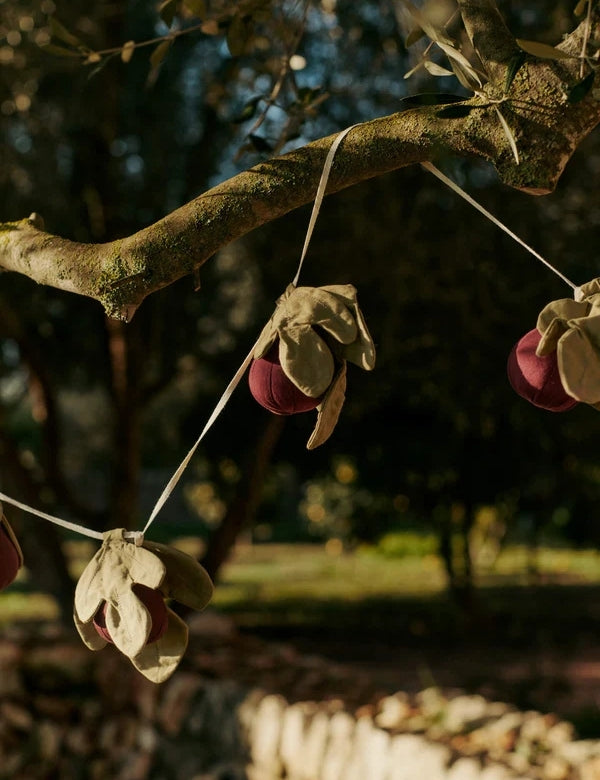 Oranges Garland