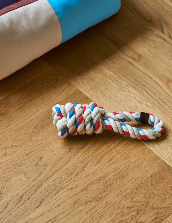 Dog Toy