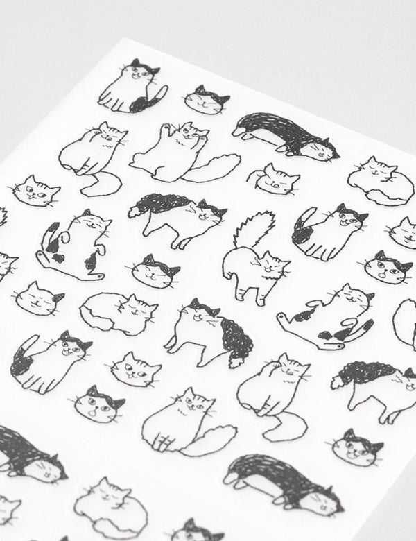 Autocolantes Chat Cat