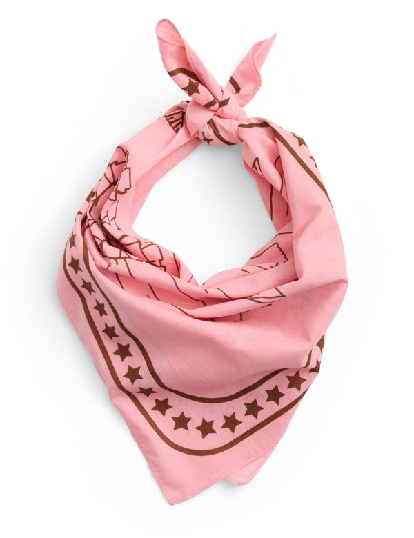 #cor_rosa claro