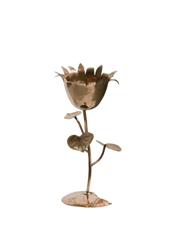 #Tamanho_Roxana - 370 x 190 mm