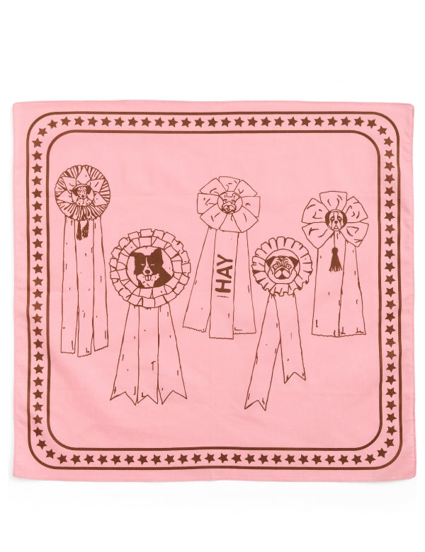 #cor_rosa claro