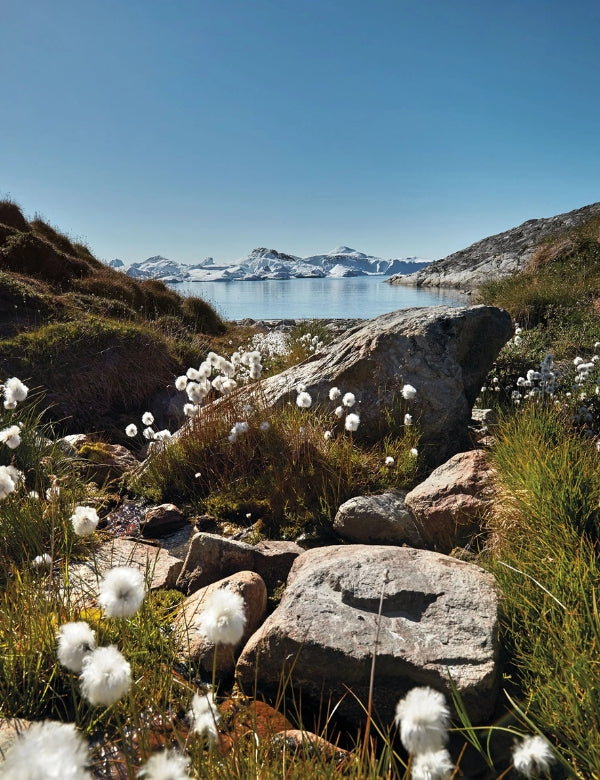 Nordic by Nature