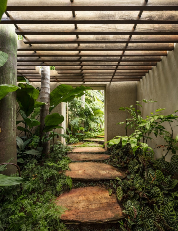 Isay Weinfeld