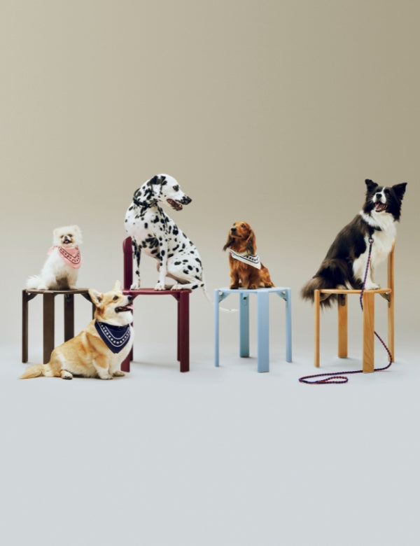 Dog Scarf - Recycled