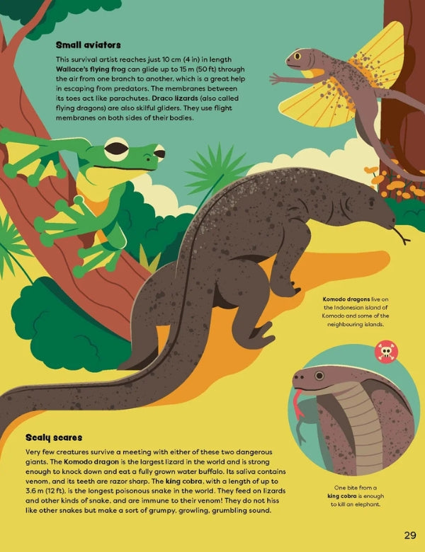 Explore the Rainforest